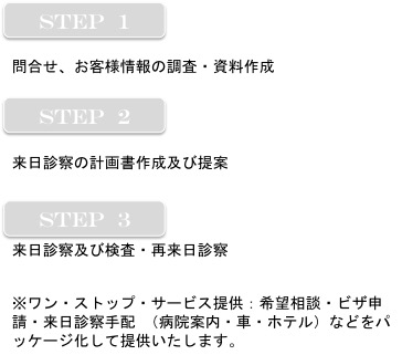 メディカルツーリズム業務プロセス